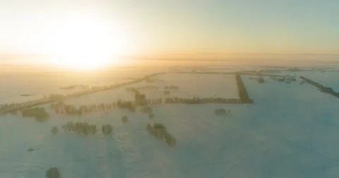 Aerial drone view of cold winter landscape with arctic field, trees covered with Stock Footage 221689480