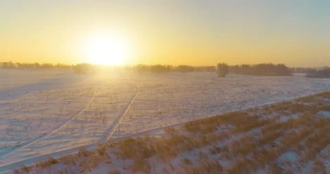 Aerial drone view of cold winter landscape with arctic field, trees covered with Stock Footage 221689875