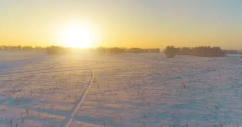 Aerial drone view of cold winter landscape with arctic field, trees covered with Stock Footage 221689957