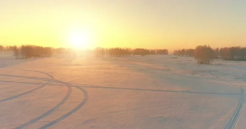 Aerial drone view of cold winter landscape with arctic field, trees covered with Stock Footage 221690053
