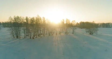 Aerial drone view of cold winter landscape with arctic field, trees covered with Stock Footage 221690392