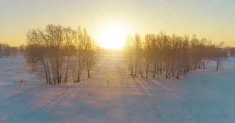 Aerial drone view of cold winter landscape with arctic field, trees covered with Stock Footage 221690529