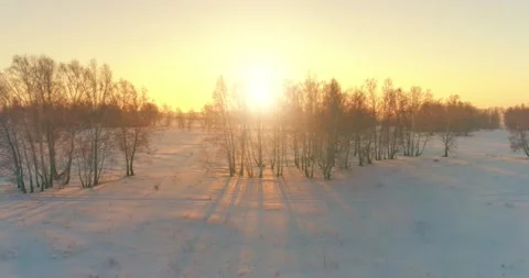 Aerial drone view of cold winter landscape with arctic field, trees covered with Stock Footage 221690579