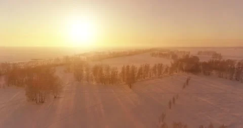 Aerial drone view of cold winter landscape with arctic field, trees covered with Stock Footage 221690830