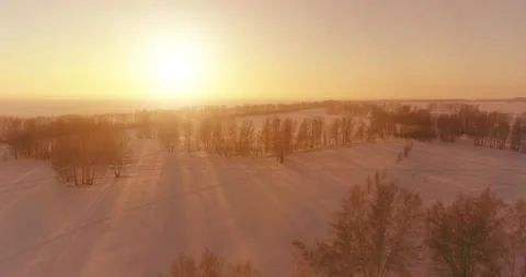Aerial drone view of cold winter landscape with arctic field, trees covered with Stock Footage 221690890