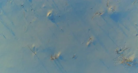 Aerial drone view of cold winter landscape with arctic field, trees covered with Stock Footage 221690977