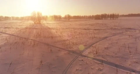 Aerial drone view of cold winter landscape with arctic field, trees covered with Video stock 221691228