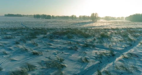 Aerial drone view of cold winter landscape with arctic field, trees covered with Stock Footage 221691277