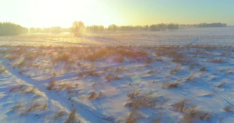 Aerial drone view of cold winter landscape with arctic field, trees covered with Stock Footage 221691333