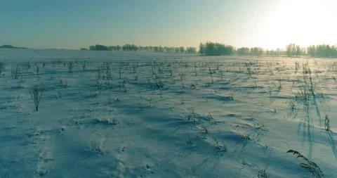 Aerial drone view of cold winter landscape with arctic field, trees covered with Stock Footage 221691611