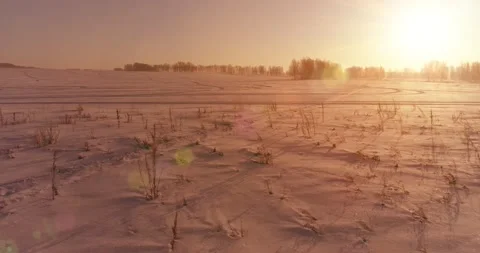 Aerial drone view of cold winter landscape with arctic field, trees covered with Stock Footage 221691667