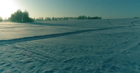 Aerial drone view of cold winter landscape with arctic field, trees covered with Stock Footage 221691915