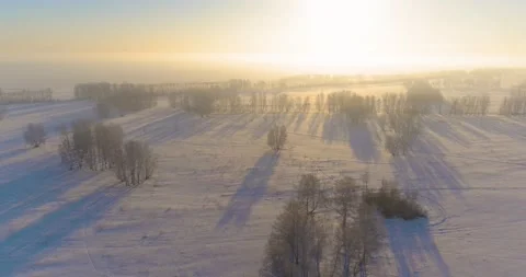 Aerial drone view of cold winter landscape with arctic field, trees covered with Stock Footage 221692051