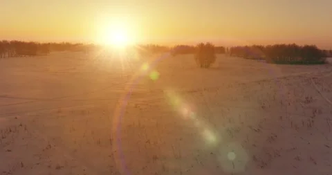 Aerial drone view of cold winter landscape with arctic field, trees covered with Stock Footage 282440060