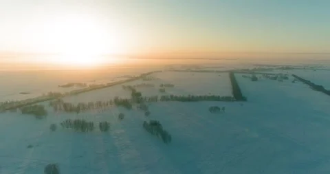 Aerial drone view of cold winter landscape with arctic field, trees covered with Stock Footage 282440533