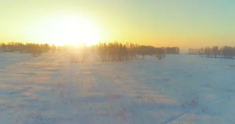 Aerial drone view of cold winter landscape with arctic field, trees covered with Stock Footage 282441188