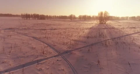 Aerial drone view of cold winter landscape with arctic field, trees covered with Stock Footage 282442025