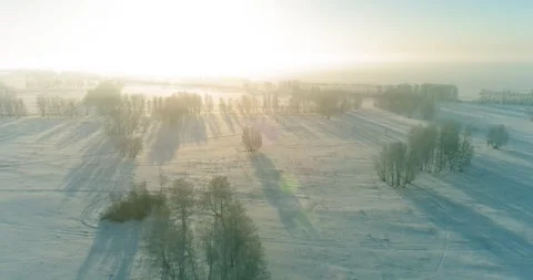 Aerial drone view of cold winter landscape with arctic field, trees covered with Stock Footage 285439986