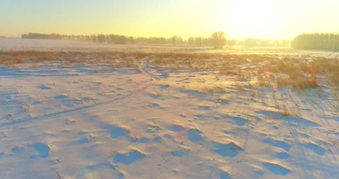 Aerial drone view of cold winter landscape with arctic field, trees covered with Stock Footage 285478872