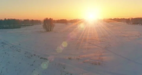 Aerial drone view of cold winter landscape with arctic field, trees covered with Stock Footage 291783024
