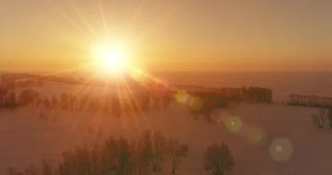 Aerial drone view of cold winter landscape with arctic field, trees covered with Stock Footage 291783563