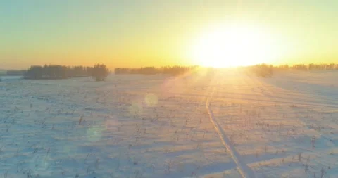 Aerial drone view of cold winter landscape with arctic field, trees covered with Stock Footage 291783841