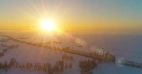 Aerial drone view of cold winter landscape with arctic field, trees covered with Stock Footage 294425237