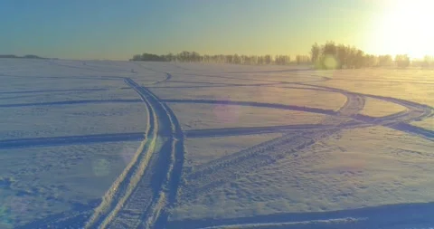 Aerial drone view of cold winter landscape with arctic field, trees covered with Stock Footage 294425789