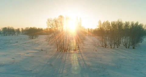 Aerial drone view of cold winter landscape with arctic field, trees covered with Stock Footage 294429235