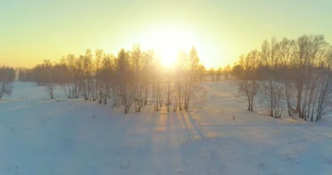 Aerial drone view of cold winter landscape with arctic field, trees covered with Stock Footage 294487990