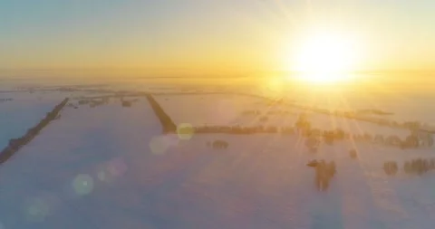 Aerial drone view of cold winter landscape with arctic field, trees covered with Stock Footage 294490644