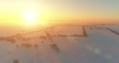 Aerial drone view of cold winter landscape with arctic field, trees covered with Stock Footage 310717167