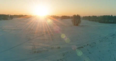 Aerial drone view of cold winter landscape with arctic field, trees covered with Stock Footage 310717422