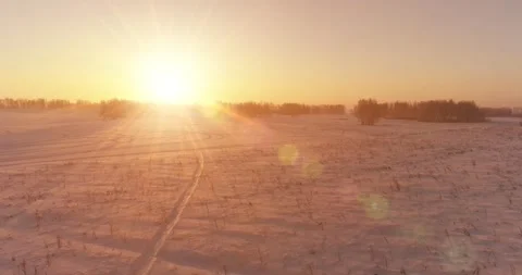 Aerial drone view of cold winter landscape with arctic field, trees covered with Stock Footage 310717632