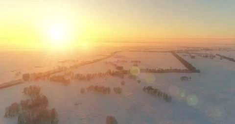 Aerial drone view of cold winter landscape with arctic field, trees covered with Stock Footage 310718004