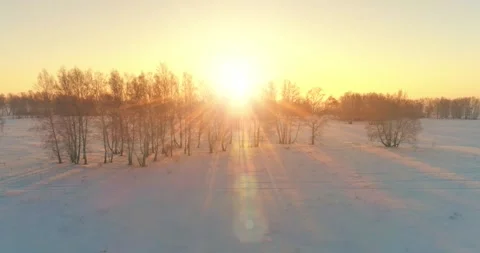 Aerial drone view of cold winter landscape with arctic field, trees covered with Stock Footage 310718043