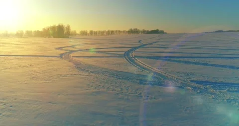 Aerial drone view of cold winter landscape with arctic field, trees covered with Stock Footage 310718699