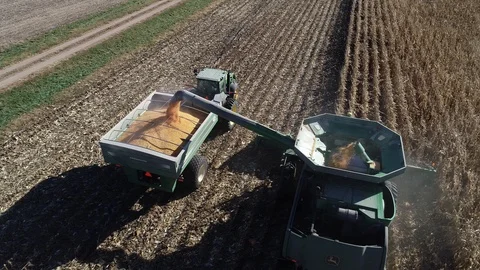 Aerial drone view of combine harvesting corn Stock Footage