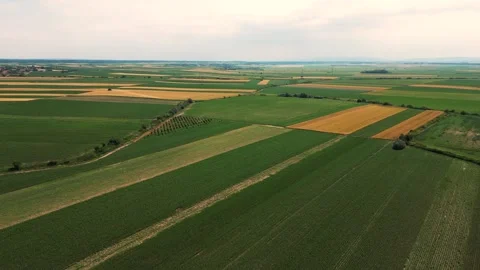 Aerial drone view of crop fields forming patterns across rural landscape Stock Footage 342236027