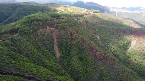 Aerial drone view of Dahican quarry red lake jungle and tropical landscape i Stock Footage 335773653