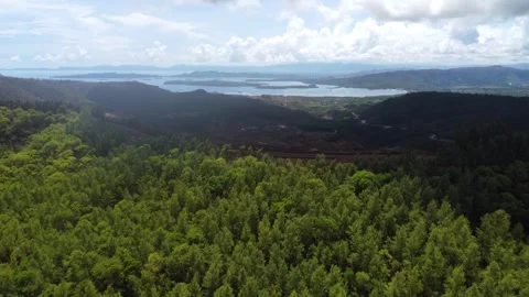 Aerial drone view of Dahican quarry red lake jungle and tropical landscape i Stock Footage 335773702