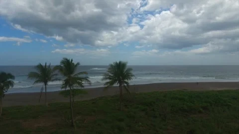 Aerial drone view of dancing palm trees on the beach in Costa Rica Stockbeeldmateriaal 319509438