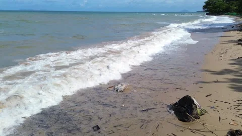 Aerial drone view of a dead sea turtle washed up on shore on Koh Lanta, Thailand Stock Footage 317624901
