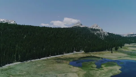 Aerial Drone View Dead Trees and river ravaged By Wildfire Stock Footage 160719149