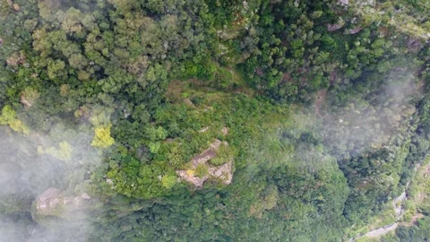 Aerial drone view of the deep forest from above with passing clouds. Stock Footage 182326827