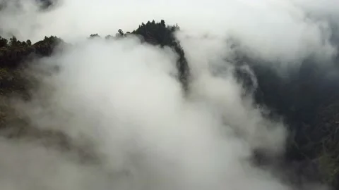 Aerial drone view of the deep forest from above with passing clouds. Stock Footage 182332080