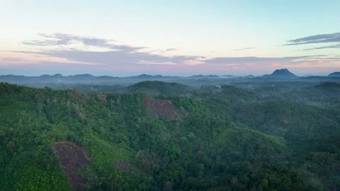 Aerial Drone View of Deforestation in Borneo Rainforest Meratus Mountains 库存影片 335609387