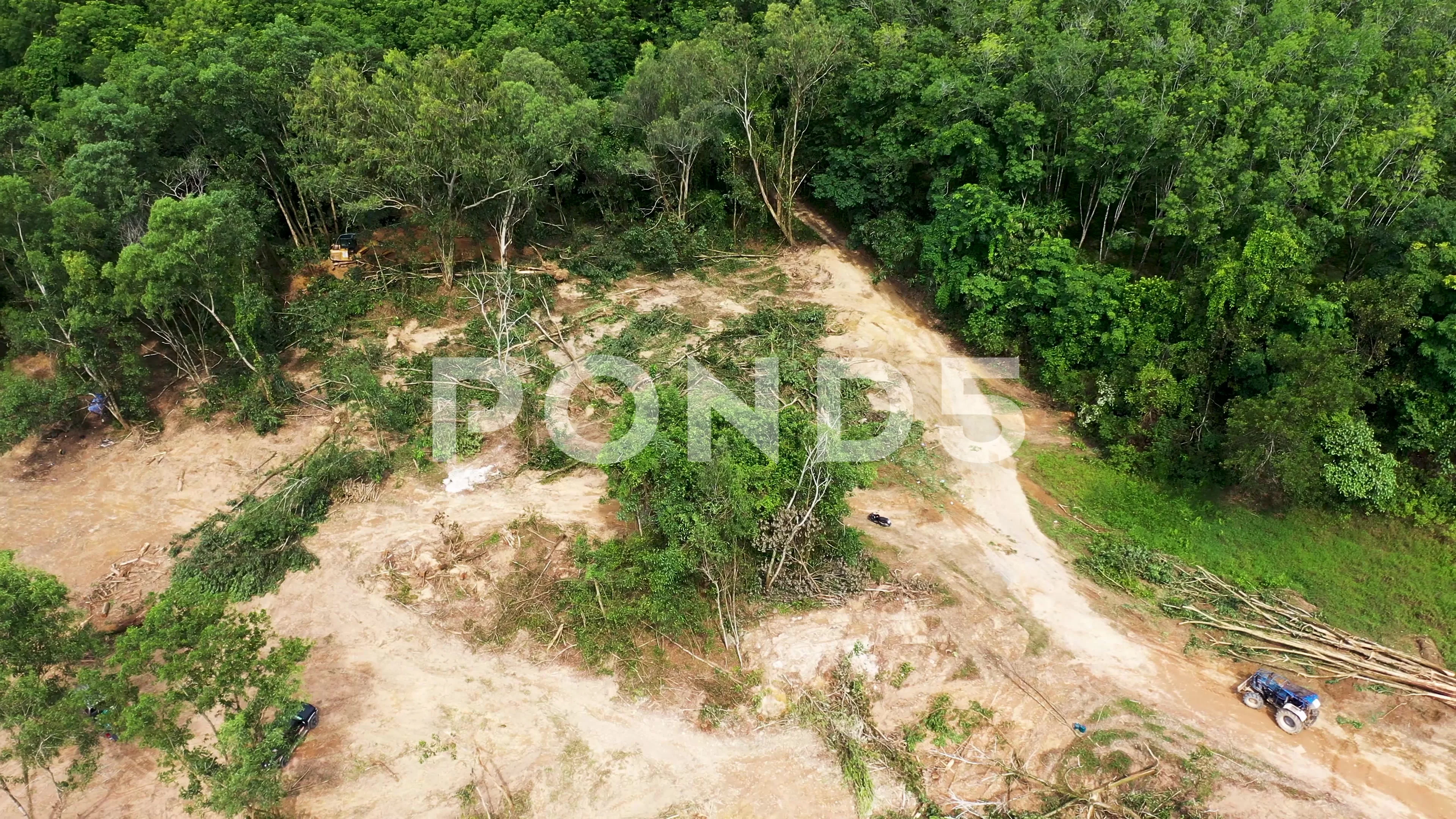 Drone aerial view of deforestation in the  rainforest. Trees