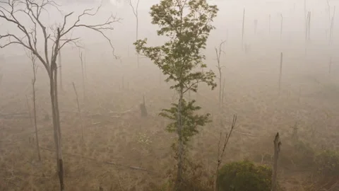 Aerial drone view of a deforested area in the southern Amazon rainforest, where Stock Footage 340294677