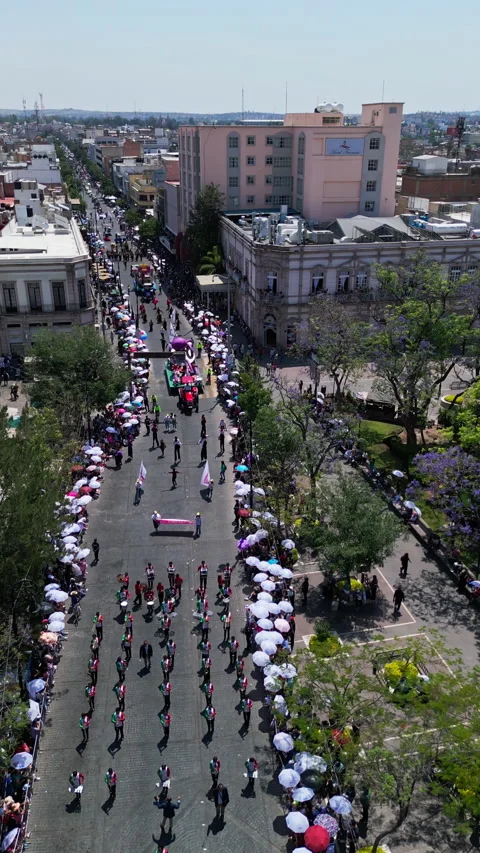 Aerial drone view of the dense city grid and streets seen from above in Video stock 342062601